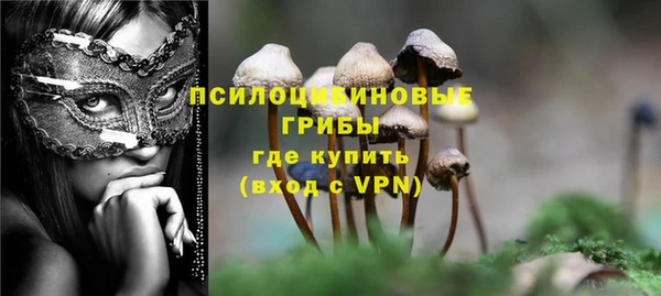альфа пвп Инта