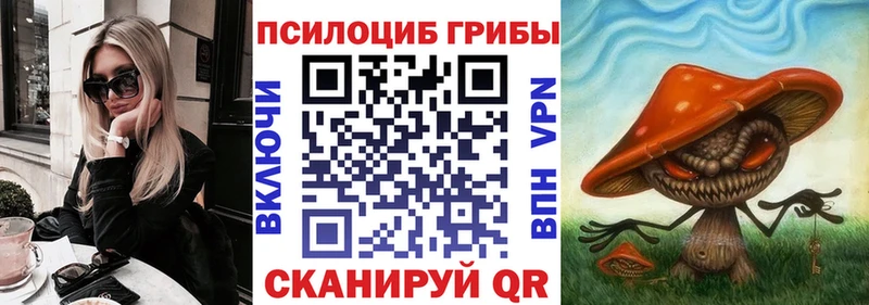 где купить наркоту  Камызяк  Псилоцибиновые грибы Cubensis 